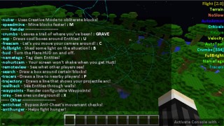 minecraft flare hack client