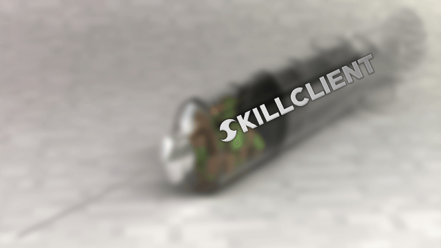 skillclient 1.13.2